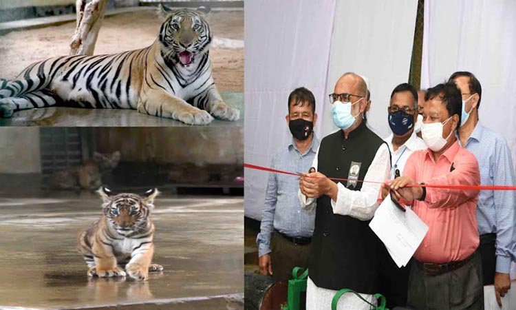 National Zoo to be developed like Singapore: Rezaul Karim | News |  Bangladesh Sangbad Sangstha (BSS)
