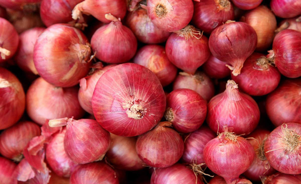 Over 13.08-thousand tonnes onion production expected in Jashore
