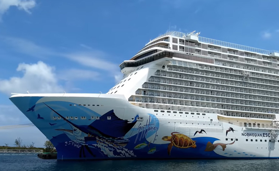 norwegian cruise ship runs aground
