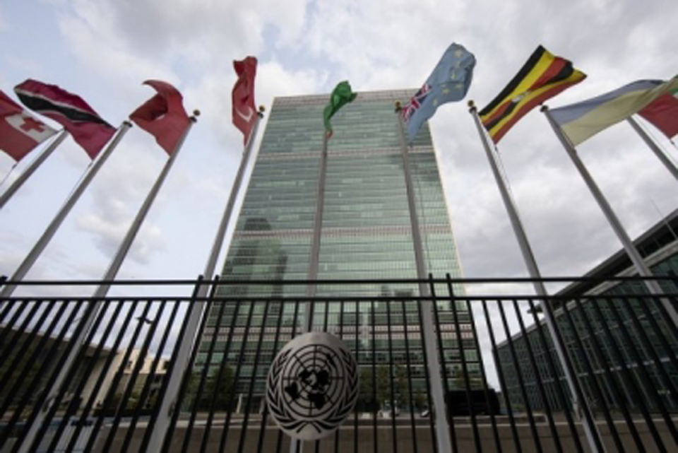 UN decides to establish Youth Office | News