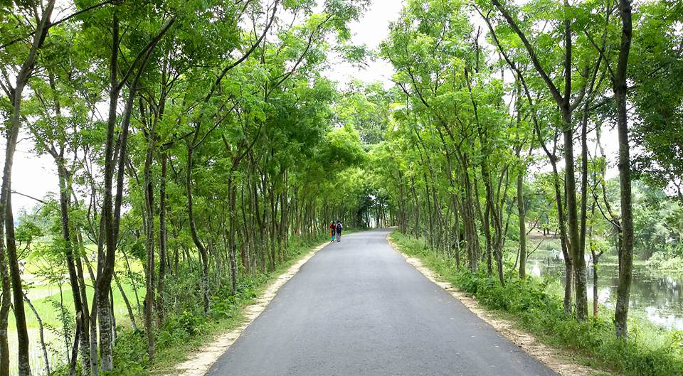 Rural Road Project Removes Physical Bottleneck In Rajshahi District Rural Road Project Removes Physical Bottleneck In Rajshahi District