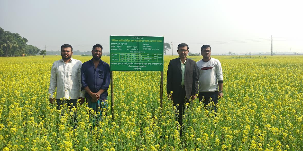 Mustard farming target exceeds in Khulna region