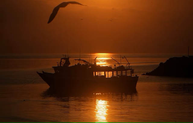 Global talks renew on seabed mining with pressure 'to deliver'