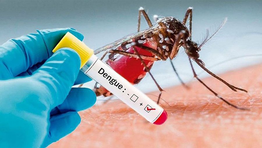 17 dengue patients die, 3,084 hospitalised in 24hrs