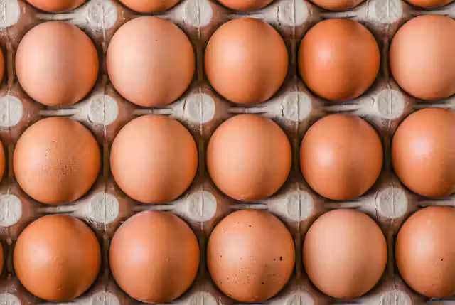 Govt allows import of 5cr more eggs - Vimarsana News