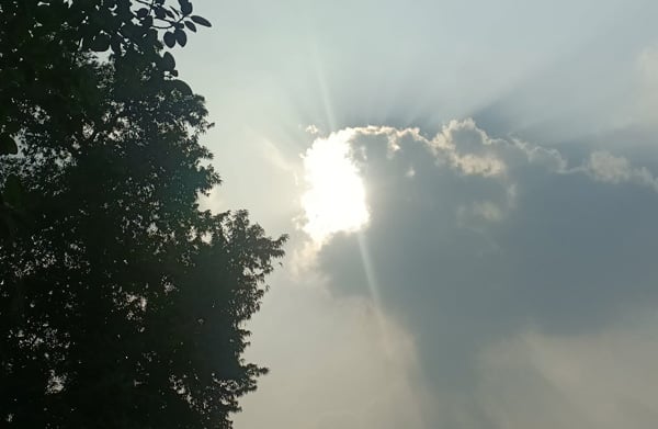 Dry weather with moderate to thick fog to prevail