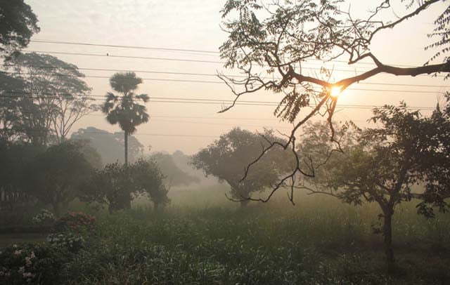 Dry weather with moderate to thick fog to prevail