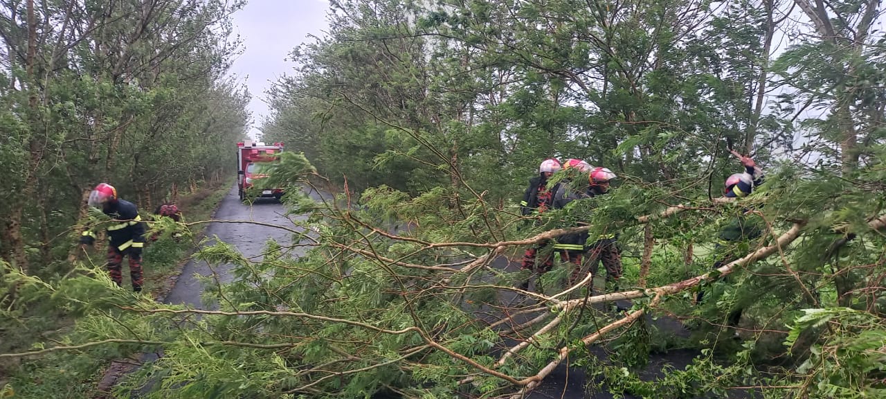 Cyclone 'Remal' affects 4 lack people, destroys 50 thousand houses in Khulna