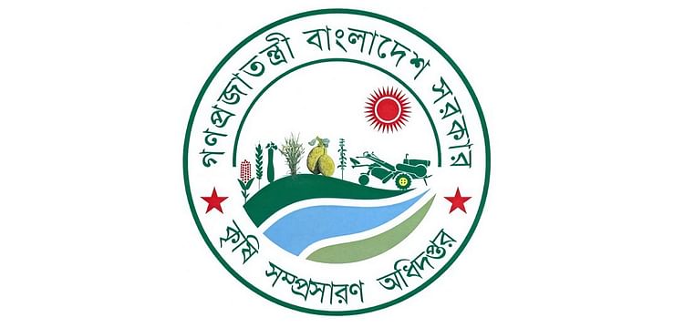 Optimum aman output likely this year despite flood induced damage: DAE