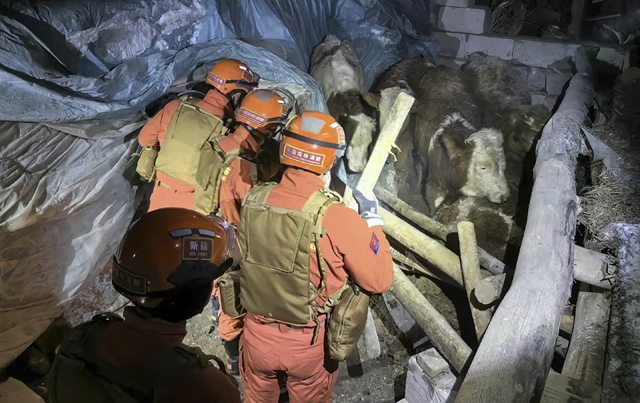 Quake in China's Tibet kills 126 with tremors felt in Nepal, India