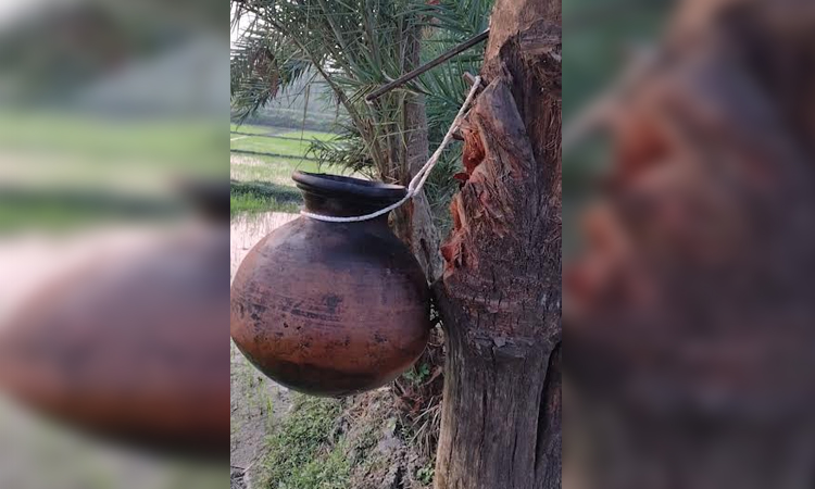 Natore eyes producing molasses of Tk 108cr