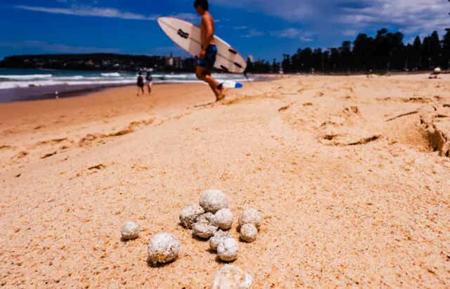 Mystery balls close nine Sydney beaches