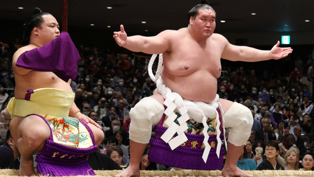 Lone wrestler at sumo's highest rank set to retire