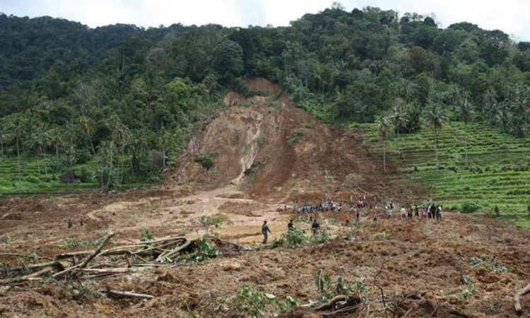 16 dead, 5 missing in Indonesia landslide: officials