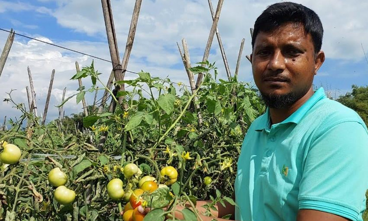 Amateur young farmer sets example as best agricultural entrepreneur in Sunamganj 