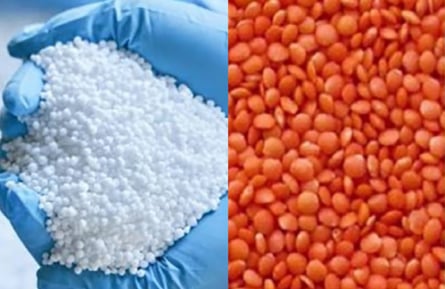 Govt to procure 1 lakh MTs fertilizer, 10,000 MTs lentil