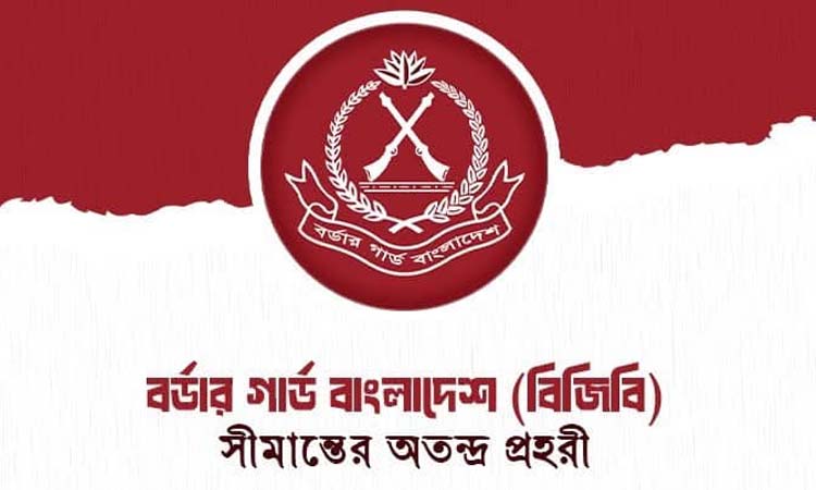 BGB seizes four lakh pcs of yaba tablets in Teknaf