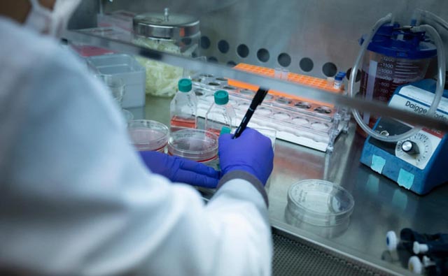 Scientists deplore sharp US cut in medical research funding
