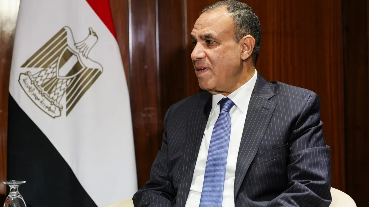 Egypt's FM heads to Washington for talks with US officials: ministry