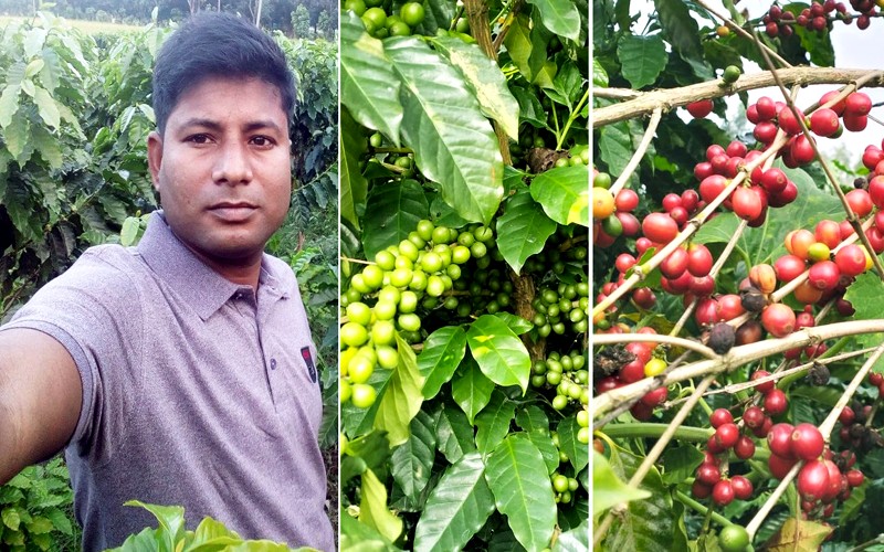 Mokhlesur dreams of making Bangladesh self-sufficient in coffee production