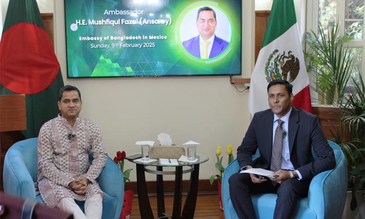 Ansari assures of facilitating employment for Bangladeshis in Mexico