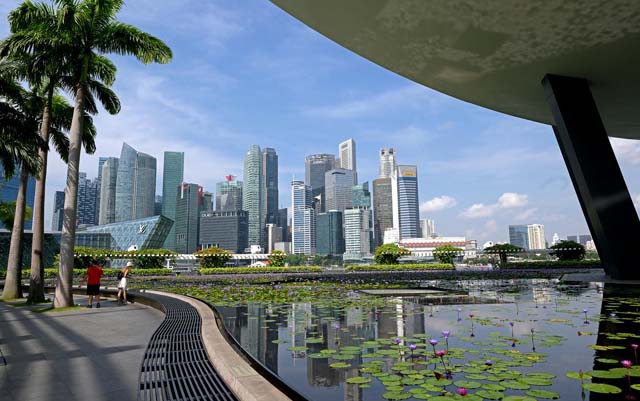 Singapore economy tops 2024 forecasts but trade fears linger