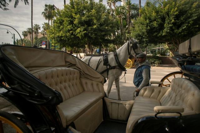 Spanish tourist hotspot Malaga to ban horse-drawn carriages