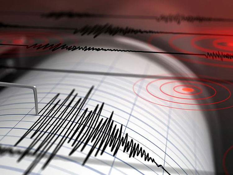 India capital shaken by 4.0-magnitude quake