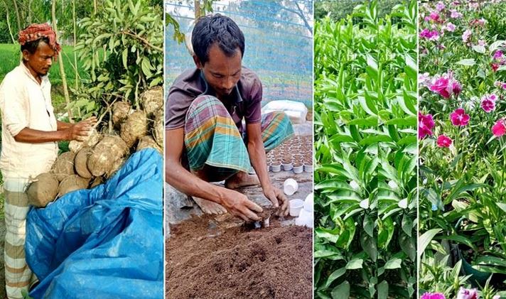 Habibar's endeavor turns Shikarpara into nursery village