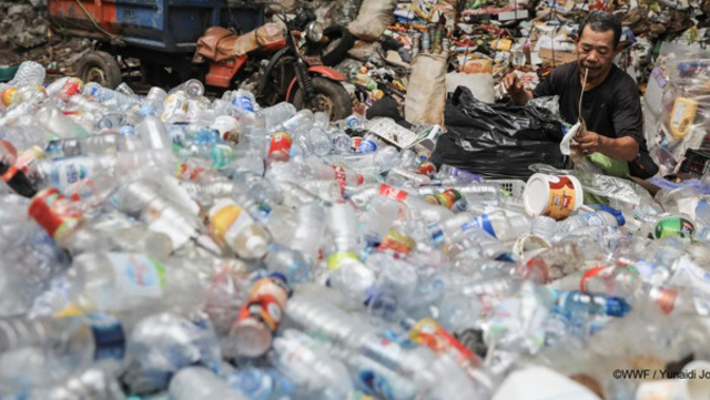 'What would you have us do?': The plastic credits problem