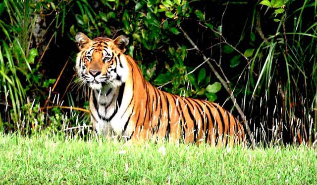 Prospect for expanding tourism in Khulna bright