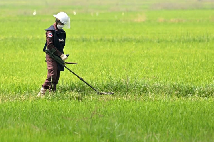 Cambodian farmers risk lives for rice as US freezes demining aid