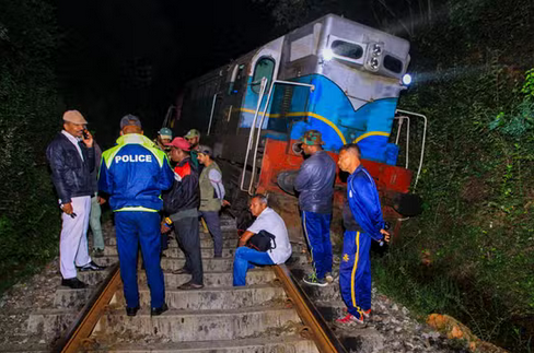 Sri Lanka train derailed after smashing into elephants