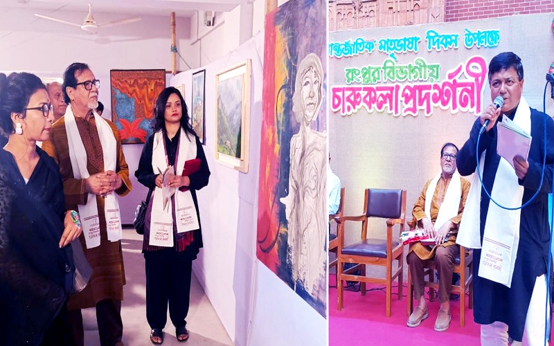 Fine arts reflect thought, culture and time: BRUR VC