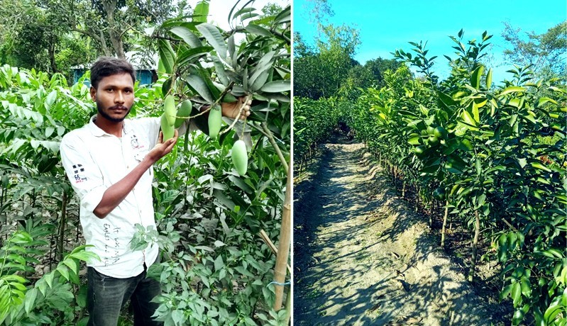 Nursery business makes rural economy vibrant in Rangpur region