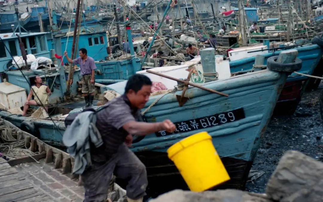 N. Koreans endure years of forced labour on Chinese ships: report