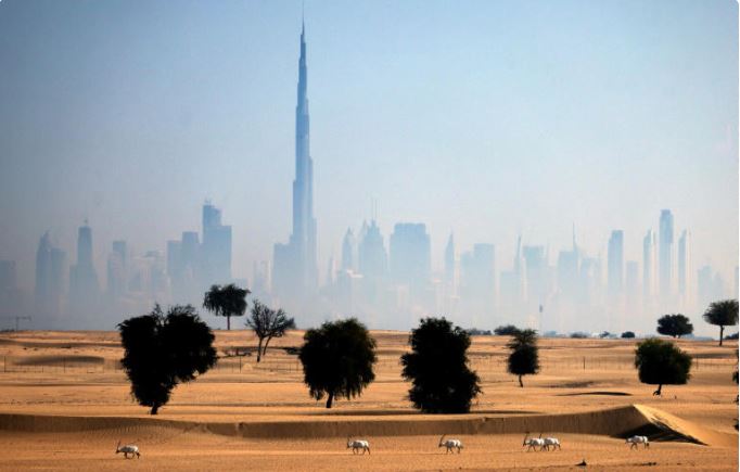 Stuck in eternal drought, UAE turns to AI to make it rain