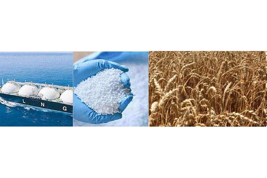 Govt to procure one cargo LNG, 50,000 MTs wheat, 60,000 MTs fertilizer
