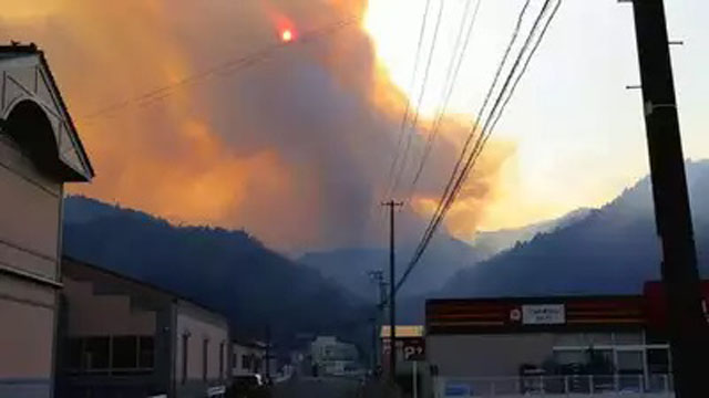 Japan forest fire burns buildings, prompts evacuations
