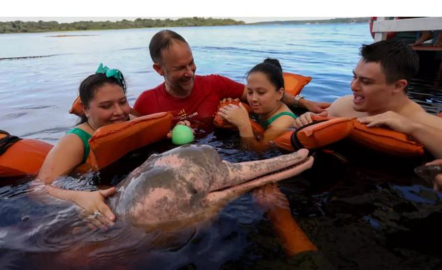 In Brazil's Amazon, dolphin therapy aids people with disabilities