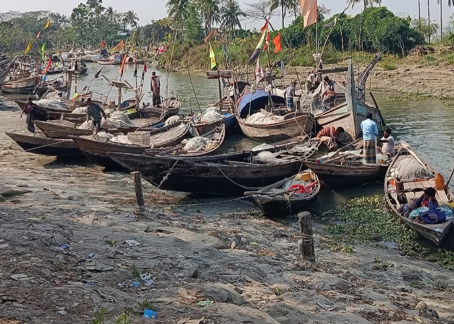 Fishing banned in Meghna River for Hilsa conservation starts