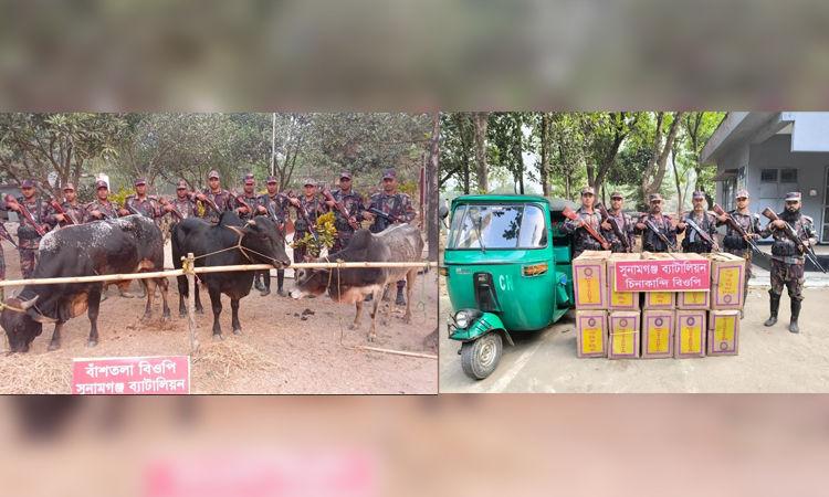 BGB seizes Indian goods worth over Tk 17.29 lakh in Sunamganj 