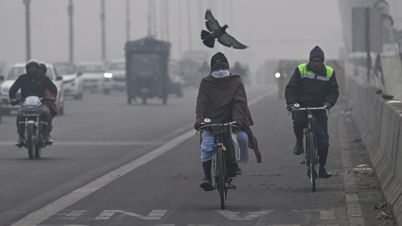 Delhi bans old cars from refuelling to help tackle city's pollution