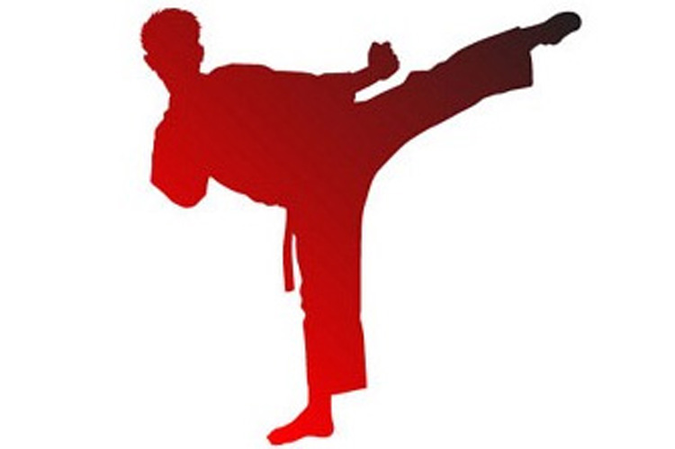 Taekwondo brings fame for Santana