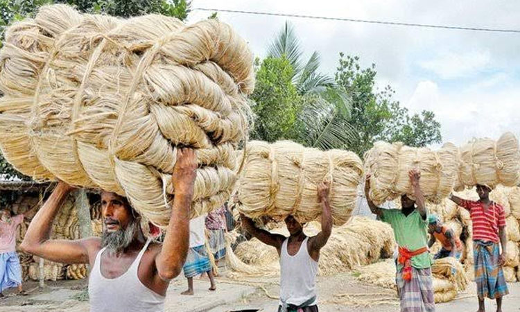 Demands for Khulna's raw jute increase in India, Pakistan 