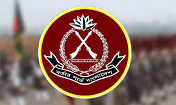 BGB seizes smuggled goods worth over Tk 170cr in February 