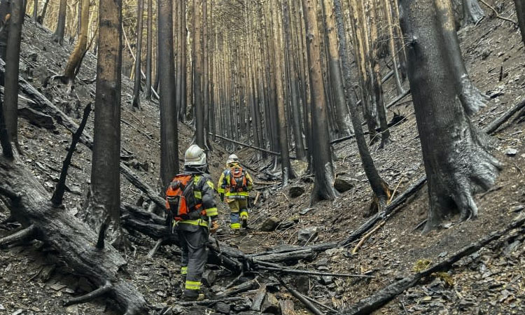Rain checks spread of Japan wildfire