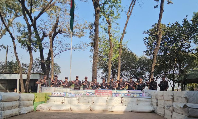 BGB seizes smuggled goods in Sunamganj