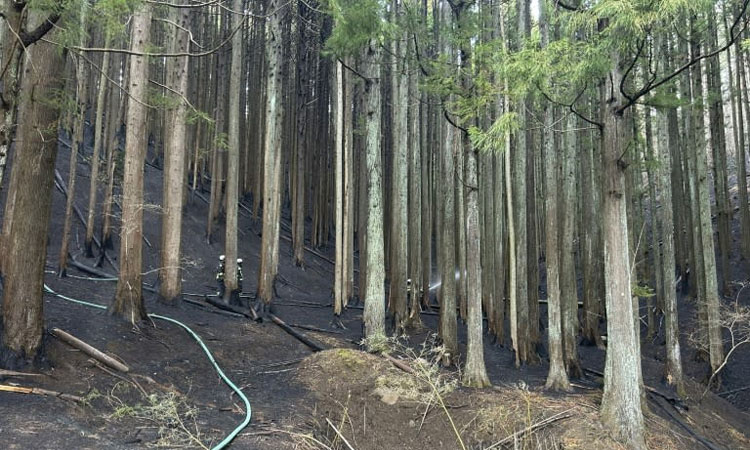 Japan wildfire evacution orders partially lifted