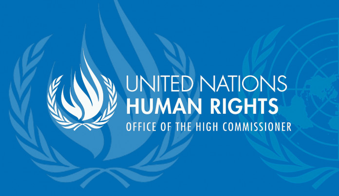 UN urges interim govt to take urgent steps to freeze, seize stolen assets 